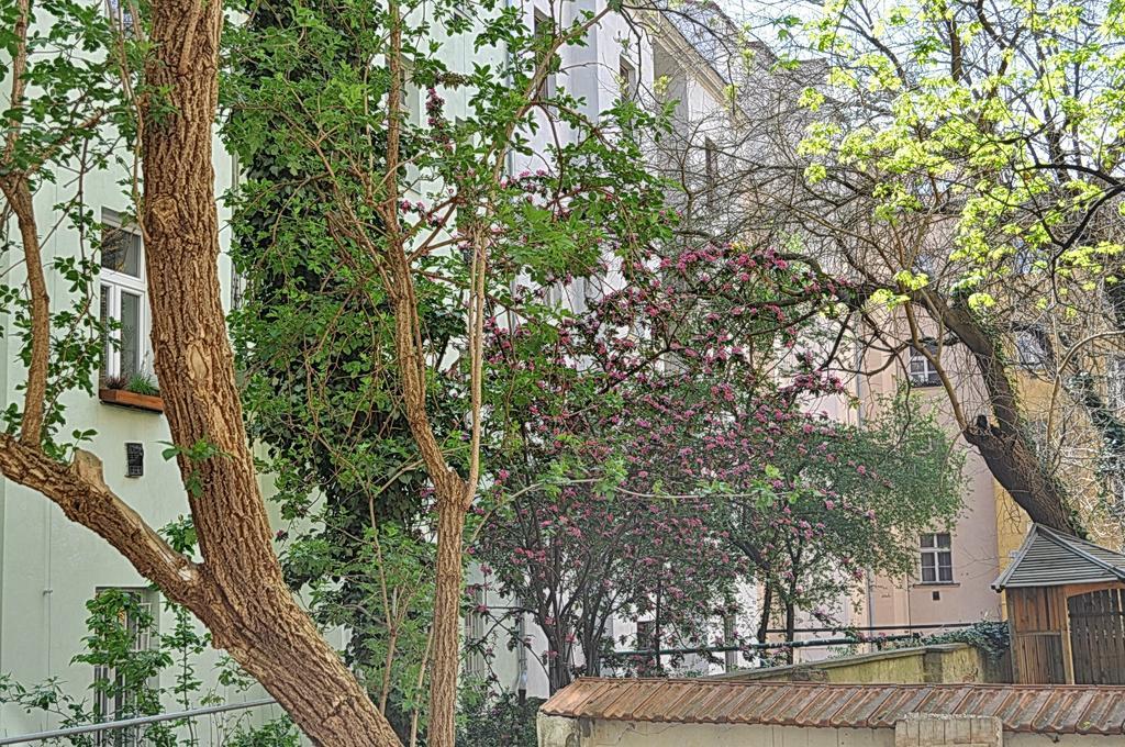 Apartment Na Kozacce 6 Praha Bagian luar foto